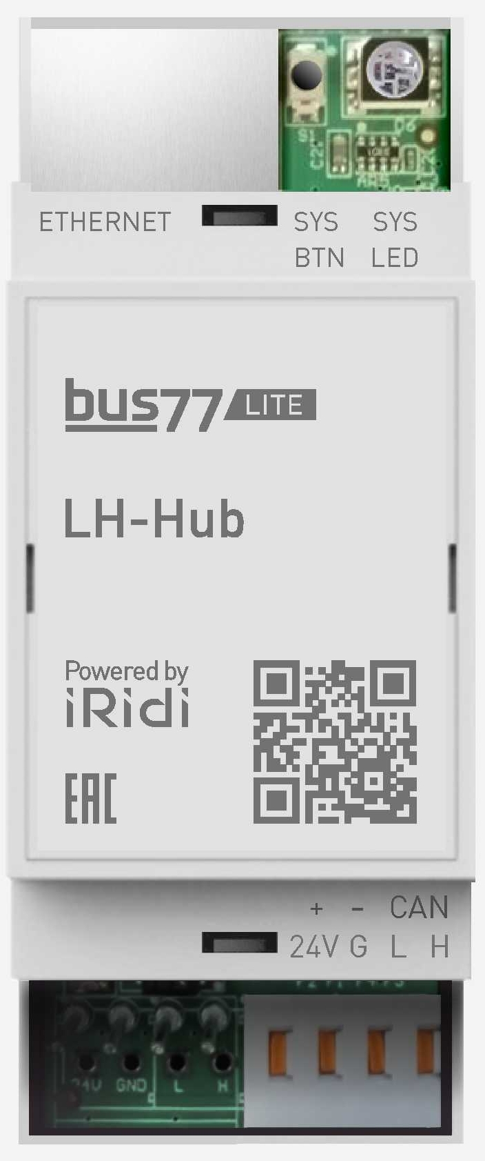 Lh-hub123.jpg